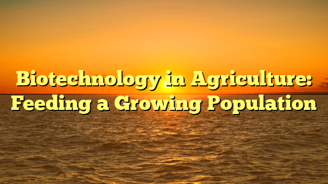 Biotechnology in Agriculture: Feeding a Growing Population